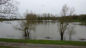 DSC02195