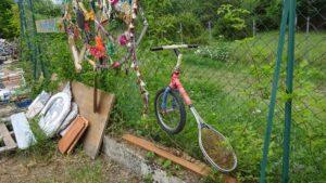 Une image contenant plein air, plante, arbre, Roue de vélo Le contenu généré par l’IA peut être incorrect.